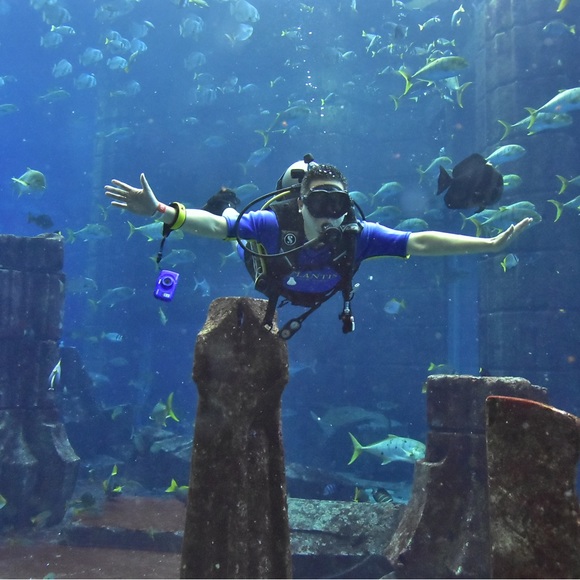 Meet your Posher, James - Picture 8 of 9